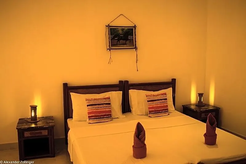***  Alona Vida Beach Resort Panglao Philippines
